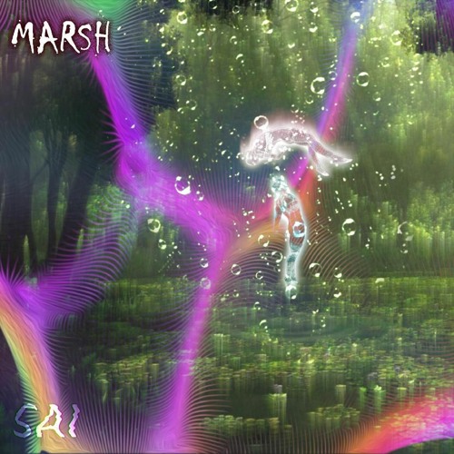 marsh
