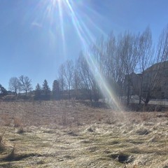 Hot ass rooms and double cups