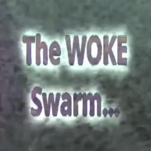 The Woke Swarm