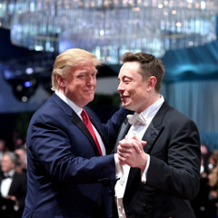 They're Eating the Dogs