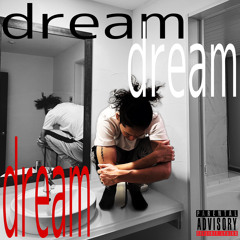 dream(それが何)(@jaechily)