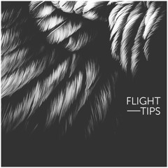 Flight Tips #10