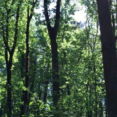 Skinner Bette Park, Eugene, Oregon, USA