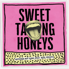 Sweet Talking Honeys (feat. Max Tuohy)