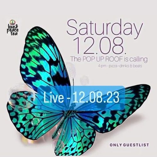 POP UP ROOF live (12.08.23) by Chris Eiber