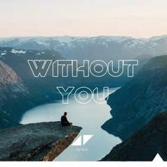 Without You - Avicii - Funky Mix