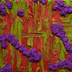 FLOWER IN THE WALL