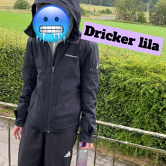 Dricker lila M.B