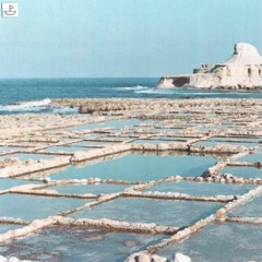 PREMIERE: AP & EDD - Chips W Wayo [Fantastic Voyage]