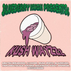 KUSH WAYZZZ (FULL TAPE)