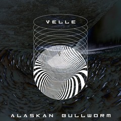 VELLE - Alaskan Bullworm