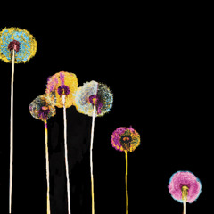 Look Around [Halocline Trance]