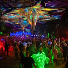 Vibratech | Waldfrieden Wonderland Festival | 2025 | Mainfloor