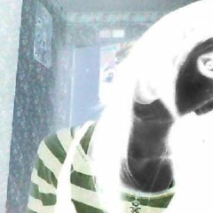 zai ⛧⛧ ill die and do it again {{{conjuraxxion 𖤐 mix}}} 👻🪦