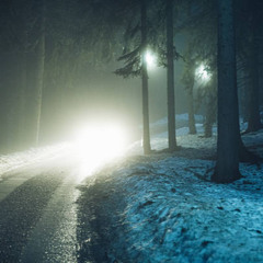 2025 CHRISTMAS ID SHOWCASE