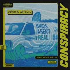 Various Artists - Birds Aren't Real [CON018](PREVIEWS)