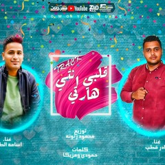 مهرجان (قلبى انتى هارت) غناء_ اسامه الطيب و نادر قطب / توزيع _ محمود زتونه