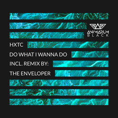 Do What I Wanna Do (The Enveloper Remix)