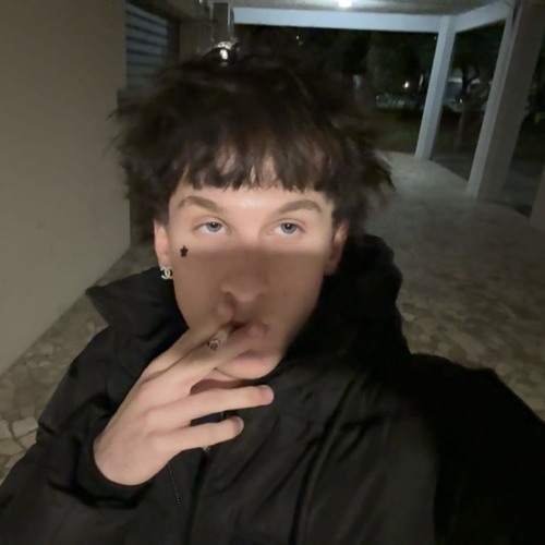 RAYPRINCE - SUITE 214 DEMO