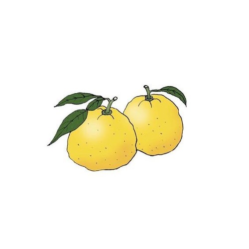 donkeyhotey - yuzu