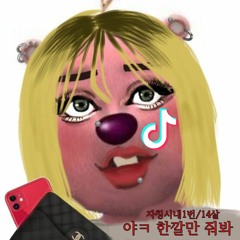 잼민이들이 듣는 틱톡음원 모음
