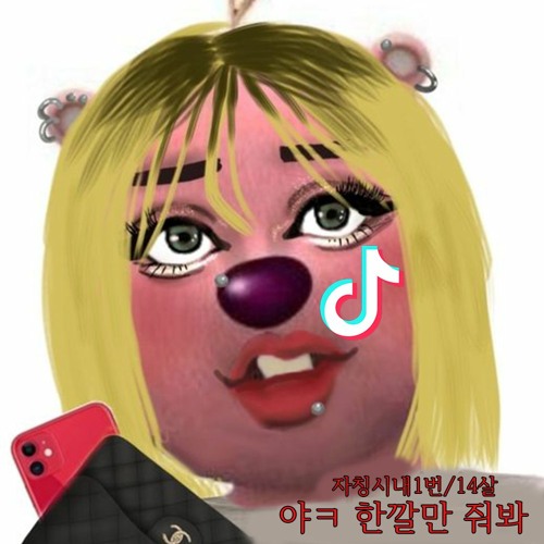 잼민이들이 듣는 틱톡음원 모음