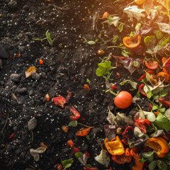 Удвічі менше сміття: у Дергачівській громаді започатковують проєкт компостування