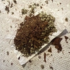 Oddwin Rap Contest 2024 (QULAN NVCNEE) [lyrics in desc] RENT DUE