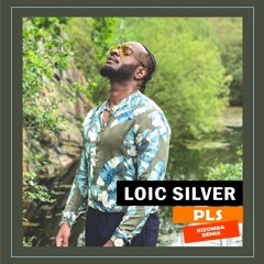 PLS - Loic Silver   Kizomba Remix