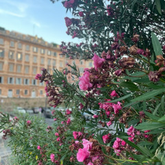 Just One Touch of You, Dear Lord