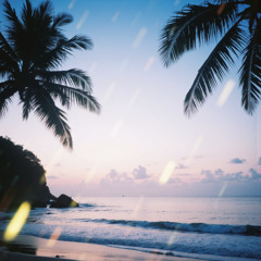 Twilight Tropic Flow
