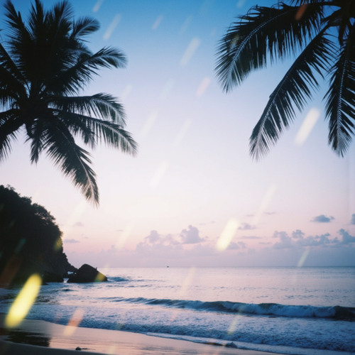 Twilight Tropic Flow