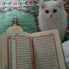 Calming Quran