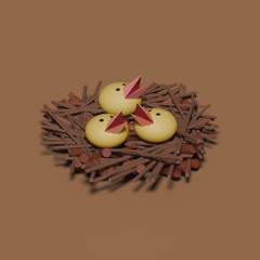 Baby Birds - Sound Library Demo