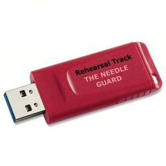 Broadside Rehearsal Track: THE NEEDLE GUARD