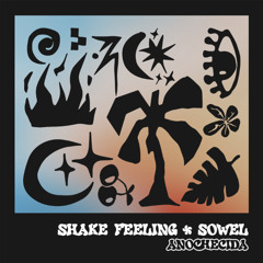 Shake Feeling