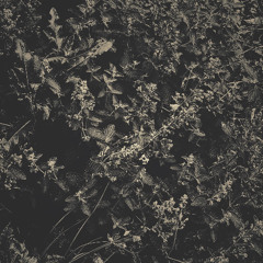 When Over (0ath) 7_12_25