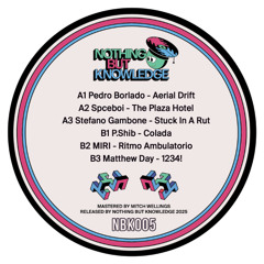 Nothing But Knowledge 005 - Various Artists