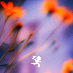 NUKS - Check It Out