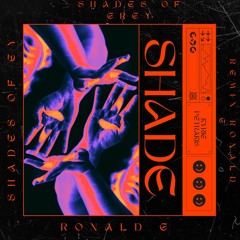 Shades of grey oliver heldens Ft shaun Franck Remix  Ronald G .wav.mp3