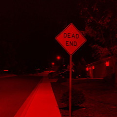 YOU WERE ALL I WANTED (RED III)