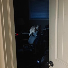 Wy Beast - Ruffian (Free Will)