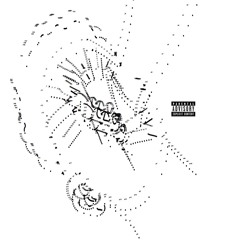 That Guy (feat. Lil Xelly)