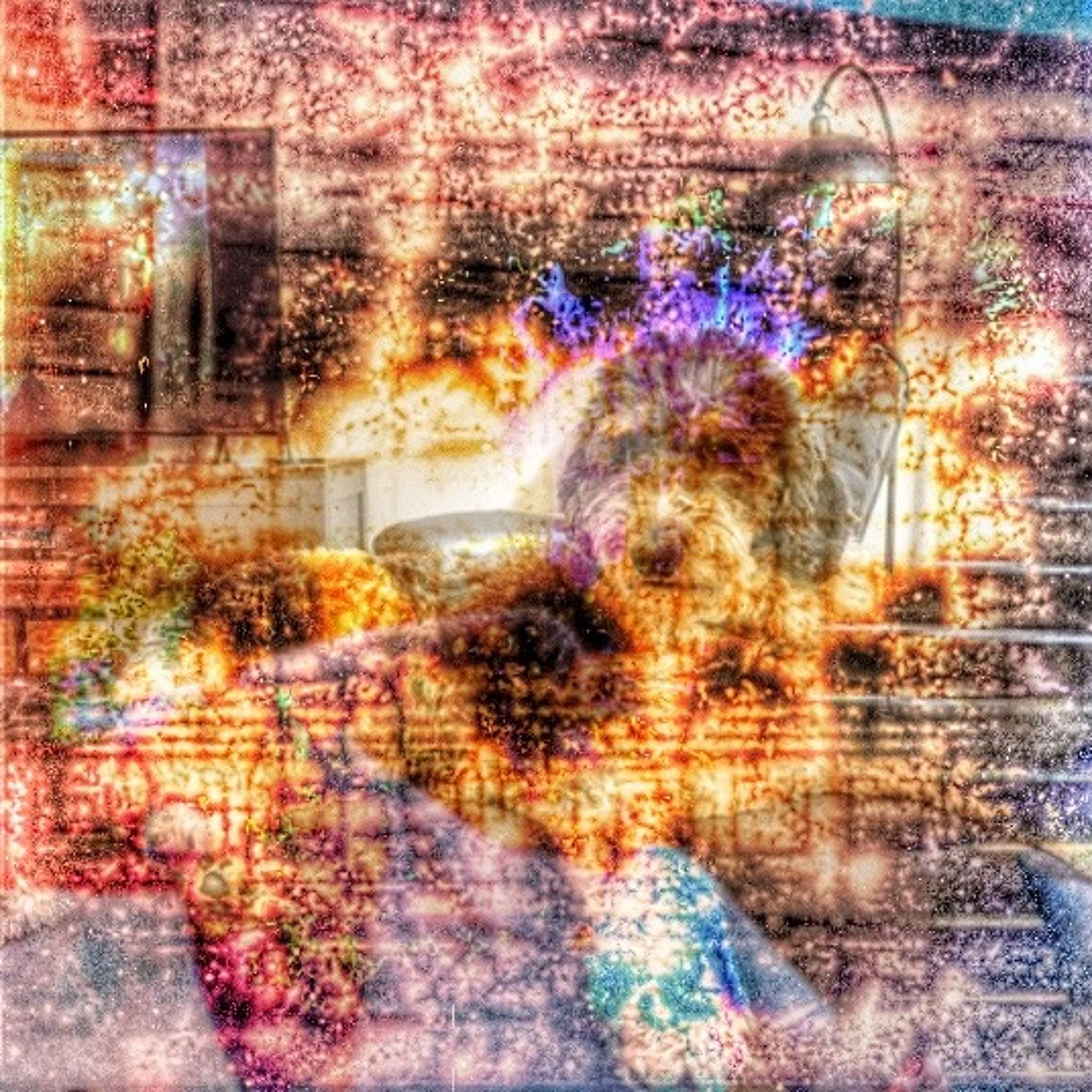 2 the beat of… episode artwork