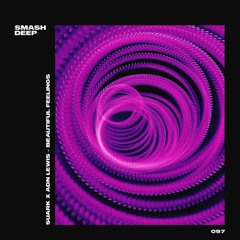 Suark x ADN Lewis - Beautiful Feelings