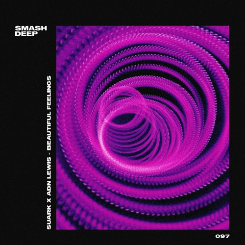 Suark x ADN Lewis - Beautiful Feelings
