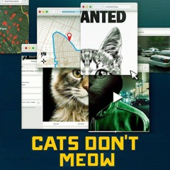 Cats Don't Meow produced by Lo-Fi Lenny