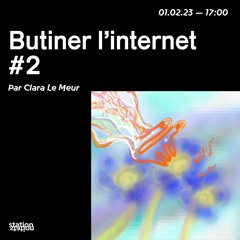Butiner L'internet #2 - Par Clara Le Meur
