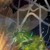 Artwork for smooth collisions