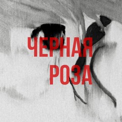 Черная Роза